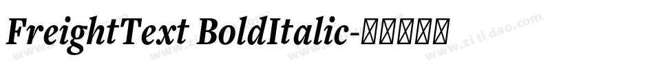 FreightText BoldItalic字体转换
